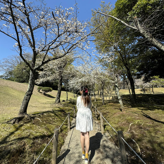 日本熊本景點｜賞櫻好地方之日式庭園🌸