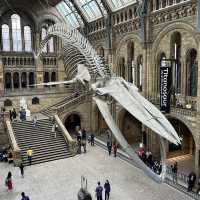 The Natural History Museum