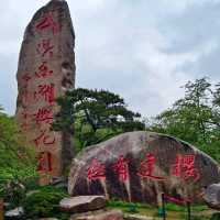 美麗的東湖櫻花園