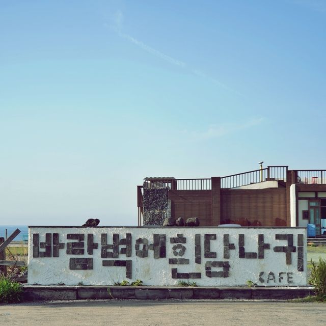 ☕️ 바람벽에흰당나귀 카페, 제주의 엔틱한 매력 속으로