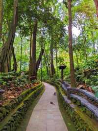 Sacred Monkey Forest Sanctuary