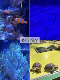 たった900円？！超絶楽しい水族館