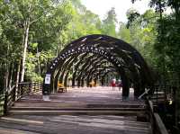 Kukup Island Johor National Park