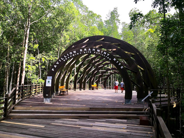 Kukup Island Johor National Park