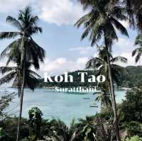 เที่ยวเกาะเต่า 🐢🌊