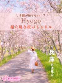 【兵庫・丹波篠山】超穴場！500ｍの桜トンネル