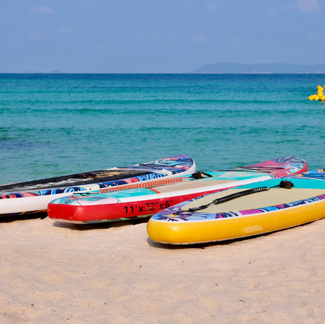 ถ่ายรูปกับห่าน หาดเทียน เกาะล้าน ชลบุรี