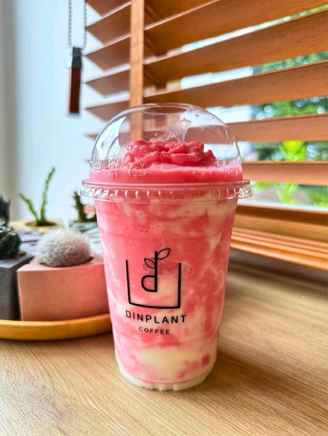 คาเฟ่ลับซอยวัดพระเงิน DINPLANT COFFEE & BAR