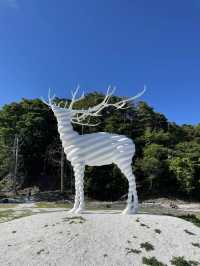 【ART🎨】　White Deer