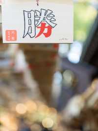 【埼玉県/川越市】まるでトンネルみたいな絵馬があるのはここ！