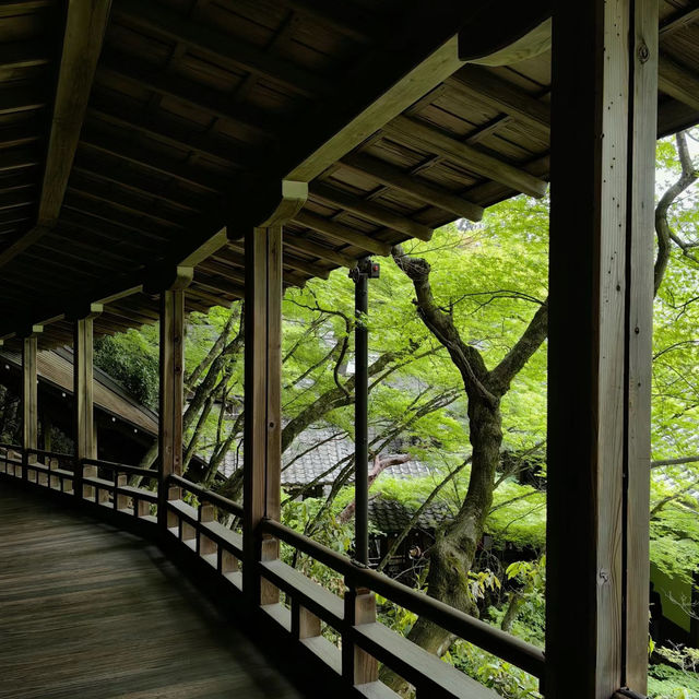 篠憟恩山寺:古色古香 篠憟恩山寺:古色古香