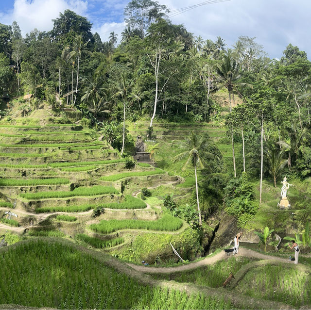 The 2 must visit places in Ubud, Bali.