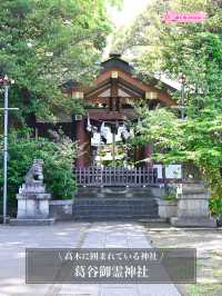 【葛谷御霊神社/東京都】高木に囲まれている神社