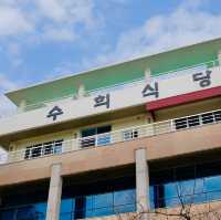 미슐랭 가이드에 선정된 서귀포 해물 맛집 - 수희식당