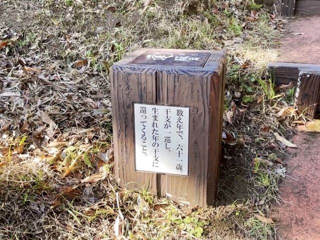 【鹿児島】空を飛んでいるように見える絶景「天」望台