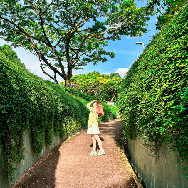 Fort Canning Tree Tunnel