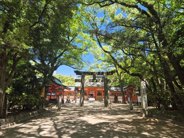 ⛩️일본 3대 스미요시 신사 중 하나인 후쿠오카 스미요시 신사⛩️