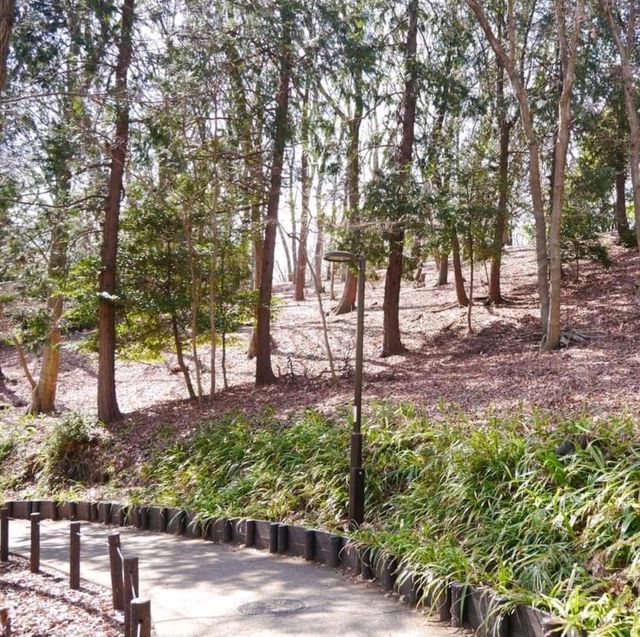 The Oyama Park