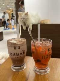 《減壓喵喵Cafe》