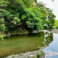 吉野熊野國立公園：壯闊樹林、豐富生態