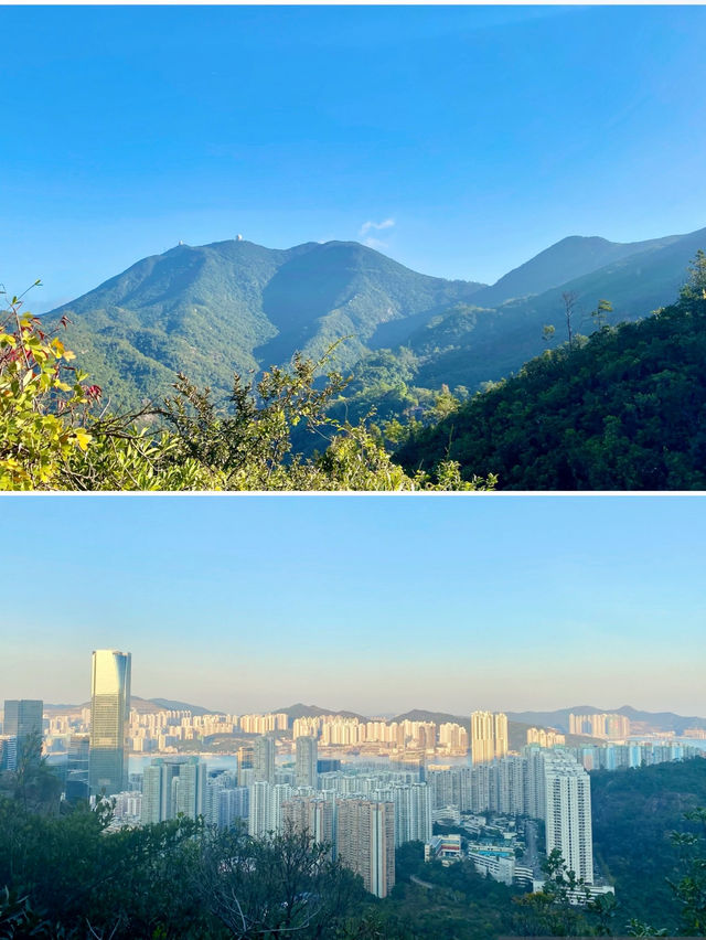 【港島東部】金督馳馬徑：四通八達的輕鬆郊遊之旅，遊歷自然奇景
