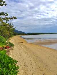 Cairns Esplanade Charles Street Parkland