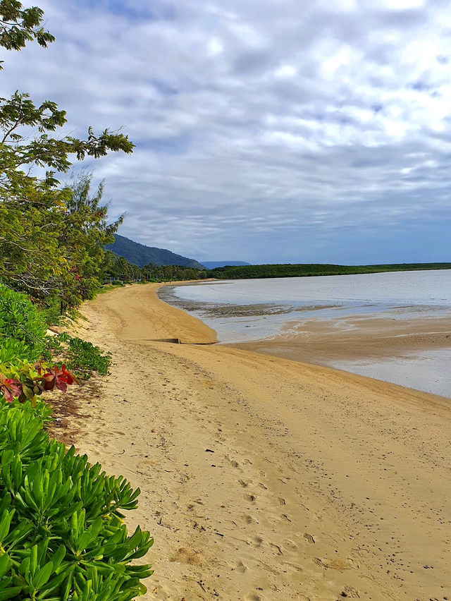 Cairns Esplanade Charles Street Parkland