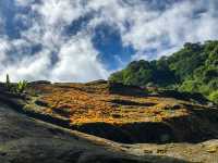 新竹小錦屏野溪溫泉+苗栗觀霧國家森林遊樂區