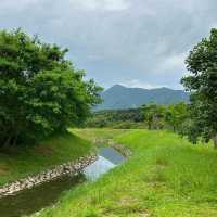 「星湖濕地公園」寧靜與美好