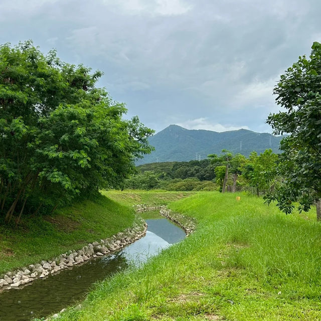 「星湖濕地公園」寧靜與美好