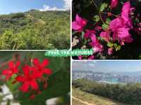 【春天好去處】🌿香港郊遊🍀@元荃古道：☀️靚景賞花🌸，適合假日郊遊