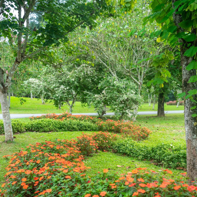 「沖繩東南植物樂園：珍稀植物，科普教育，豐富遊園體驗」