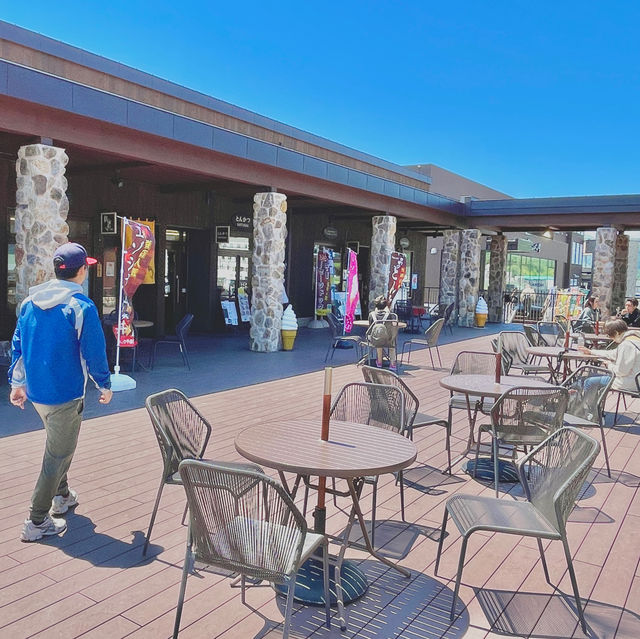 Gateway to Furano's Scenic Wonders 