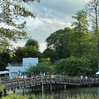 「交通公園～大自然恬靜」