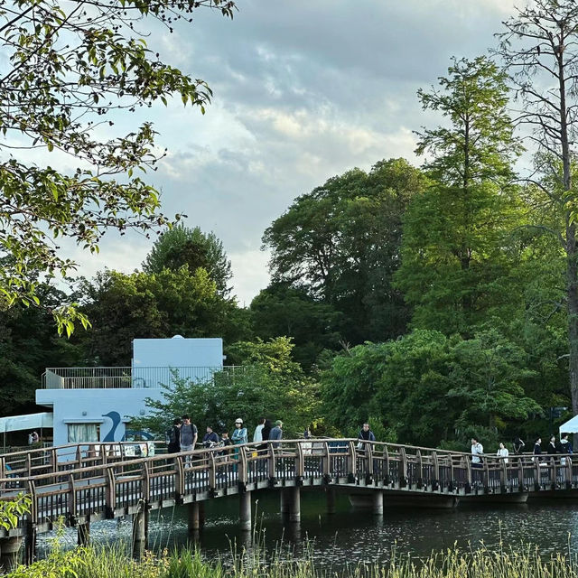 「交通公園～大自然恬靜」