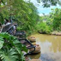 คาเฟ่ที่ทุกคนต้องมา...มองช้าง คาเฟ่