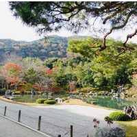 【京都観光】世界文化遺産である天龍寺
