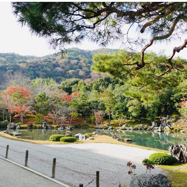【京都観光】世界文化遺産である天龍寺