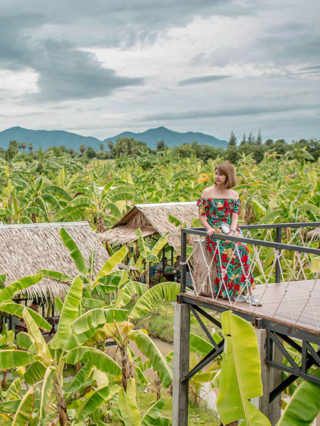 Banana Farm ร้านอาหารกลางสวนกล้วยวิวท้องร่อง