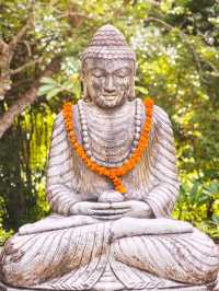 Morning Blessings at Revīvō 