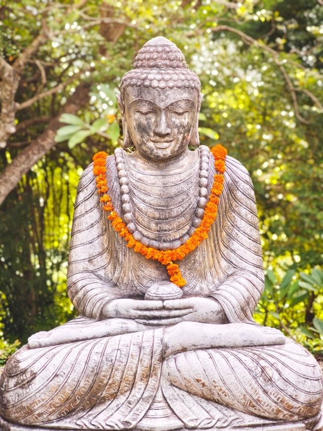 Morning Blessings at Revīvō 