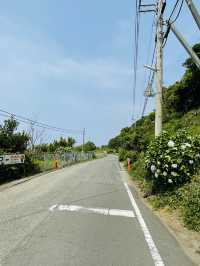 【愛媛県】絶景で人気の駅そばで楽しめる美味しい珈琲！