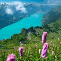Brienz Rothorn