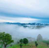 ดอยช้าง