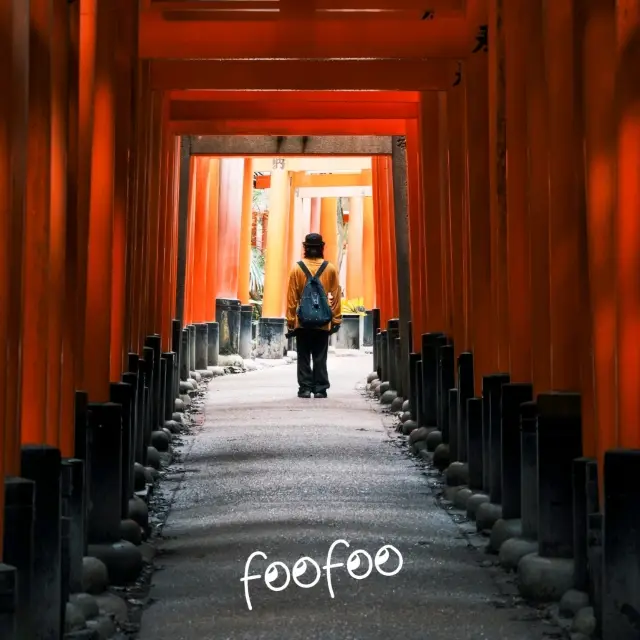 京都五日四夜，一個人的孤獨之旅，路線分享