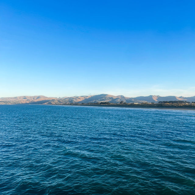 NZ- Christchurch ☀️