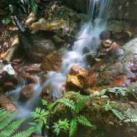 Adventurous jungle trekking at Gunung Lambak, Kluang