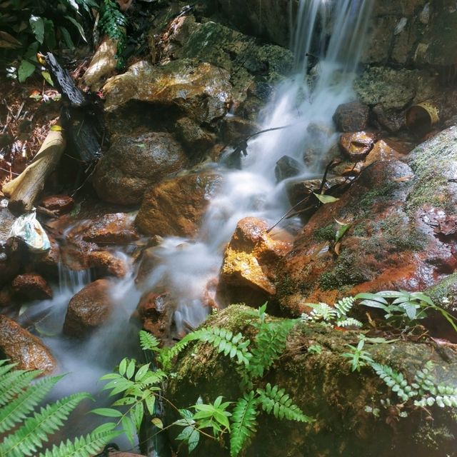 Adventurous jungle trekking at Gunung Lambak, Kluang
