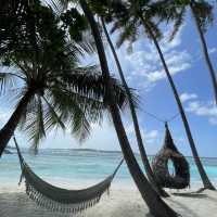 Have I arrived in paradise?