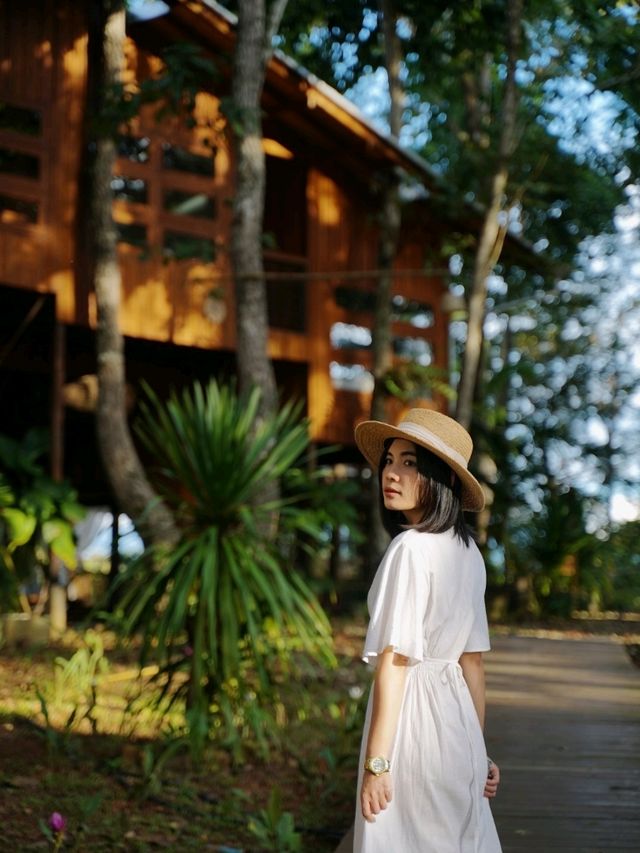 ฮีลใจที่บ้านต้นไม้ "ไร่ต้นรัก" อ.ปัว เมืองน่าน